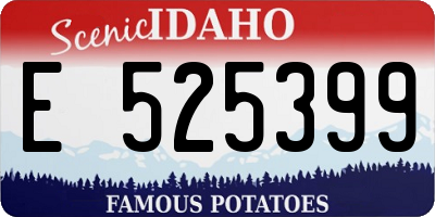ID license plate E525399