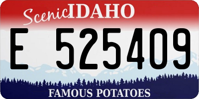 ID license plate E525409