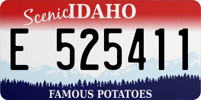 ID license plate E525411