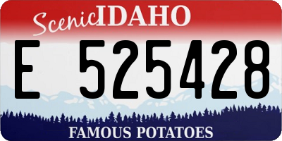 ID license plate E525428