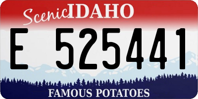ID license plate E525441