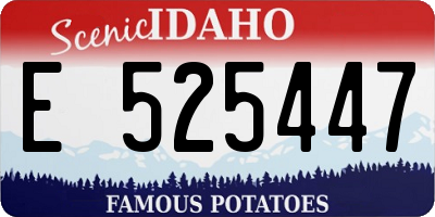 ID license plate E525447