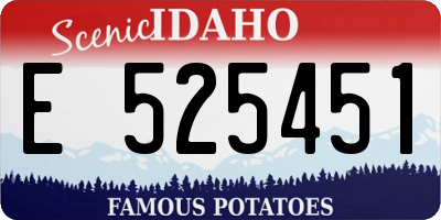 ID license plate E525451