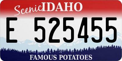 ID license plate E525455