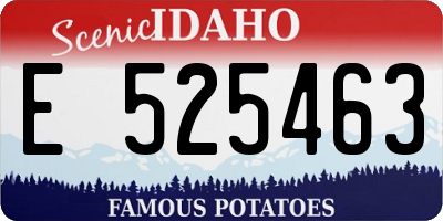 ID license plate E525463