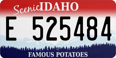 ID license plate E525484