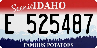 ID license plate E525487