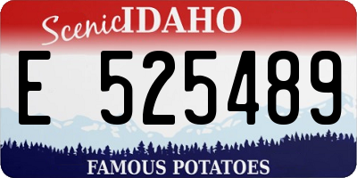 ID license plate E525489