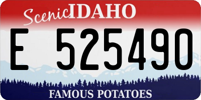 ID license plate E525490