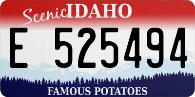 ID license plate E525494