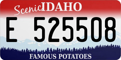 ID license plate E525508