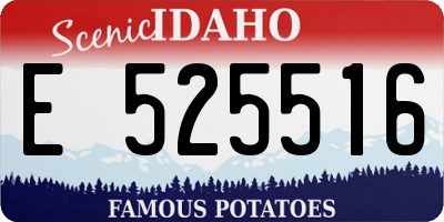 ID license plate E525516
