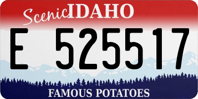 ID license plate E525517