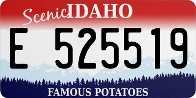 ID license plate E525519