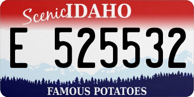 ID license plate E525532