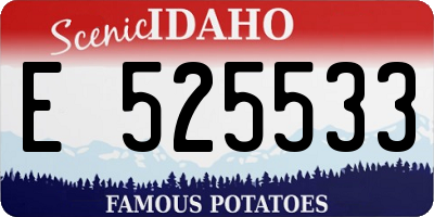 ID license plate E525533