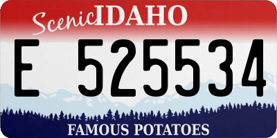 ID license plate E525534