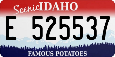 ID license plate E525537