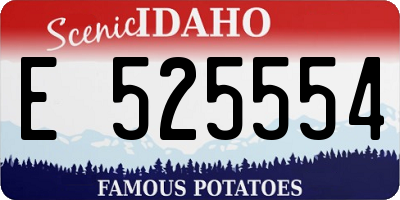 ID license plate E525554