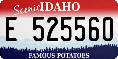 ID license plate E525560
