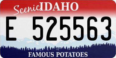 ID license plate E525563