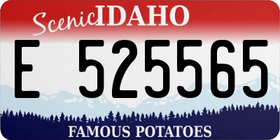 ID license plate E525565
