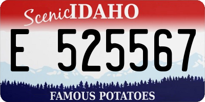 ID license plate E525567