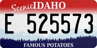 ID license plate E525573