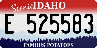 ID license plate E525583