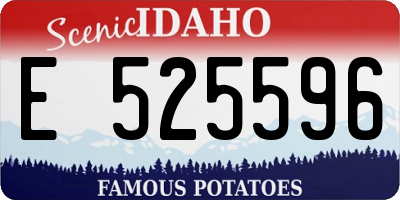 ID license plate E525596