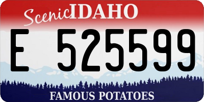 ID license plate E525599