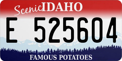 ID license plate E525604