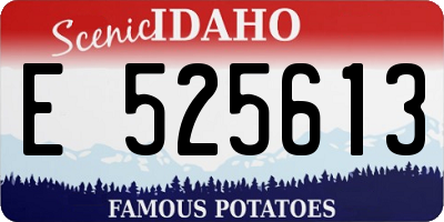 ID license plate E525613