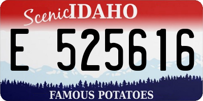 ID license plate E525616