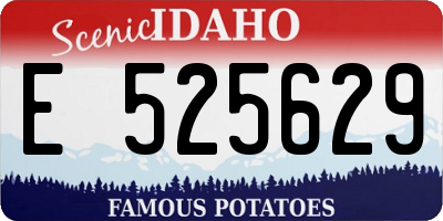 ID license plate E525629