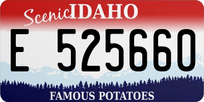 ID license plate E525660