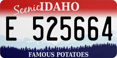ID license plate E525664