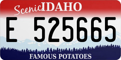 ID license plate E525665