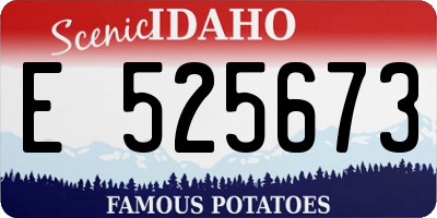 ID license plate E525673