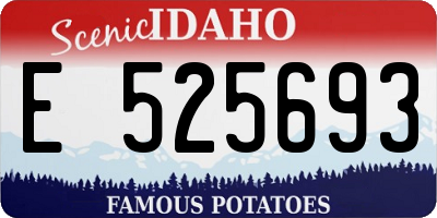 ID license plate E525693
