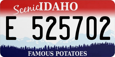ID license plate E525702