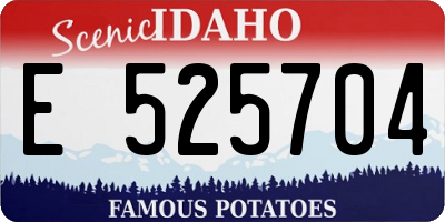 ID license plate E525704