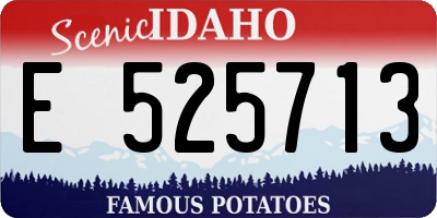 ID license plate E525713