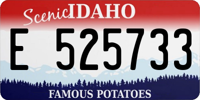 ID license plate E525733