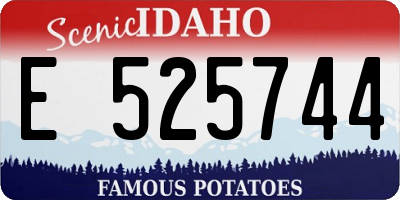 ID license plate E525744