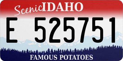 ID license plate E525751