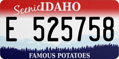 ID license plate E525758