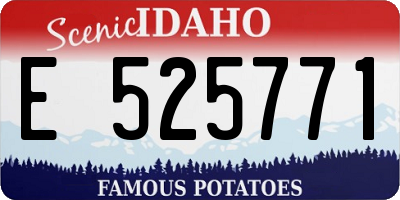ID license plate E525771