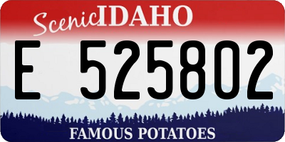ID license plate E525802