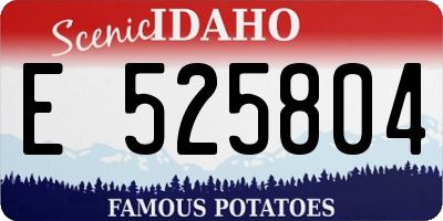 ID license plate E525804